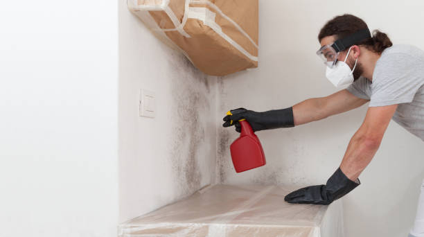 Professional Black Mold Remediation technician working in Jonestown, TX